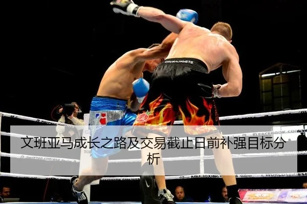 文班亚马成长之路及交易截止日前补强目标分析